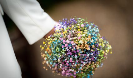Kayleigh Dolphin Photography