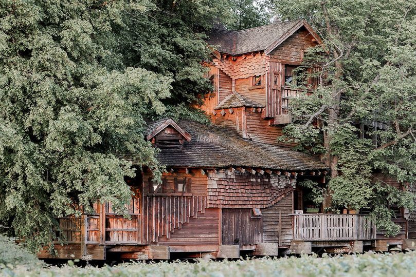 The Treehouse