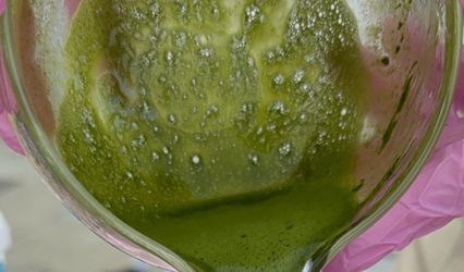 Say Matcha