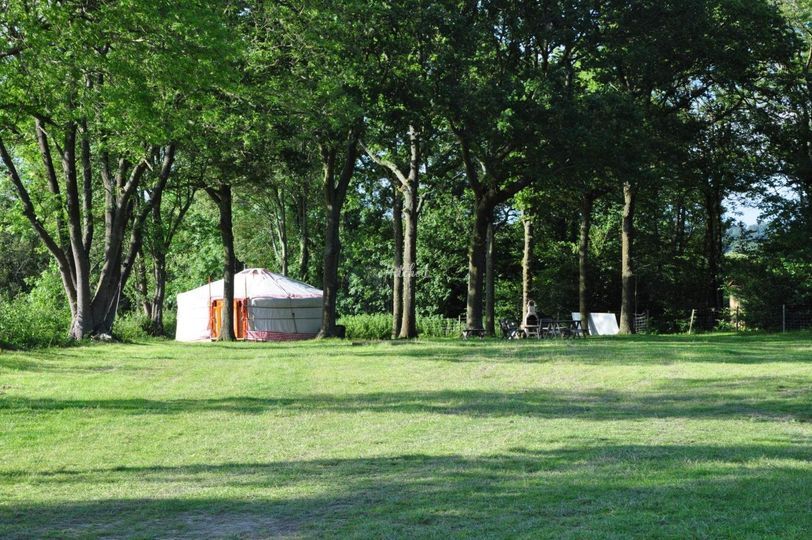 Yoghurt Rooms