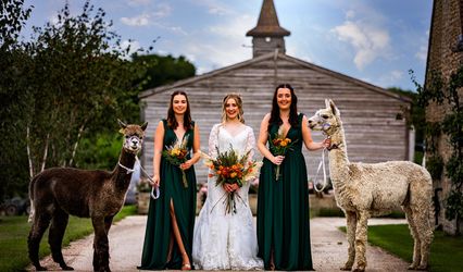 Laura Greene Photography