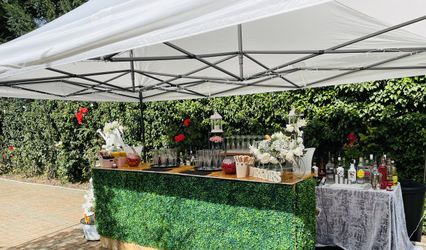 Wills Vintage Horsebox Bar