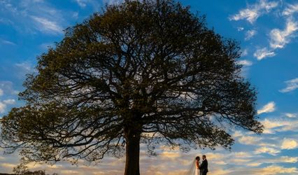 Suzanne Clark Photography & Film