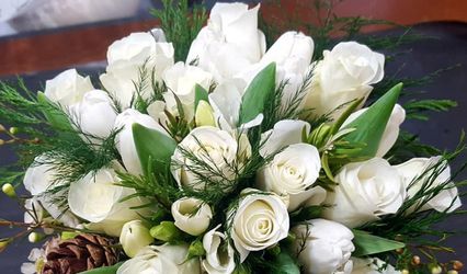 Eufloria Flowers of Thirsk