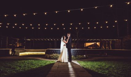 Andrew Baines Photography