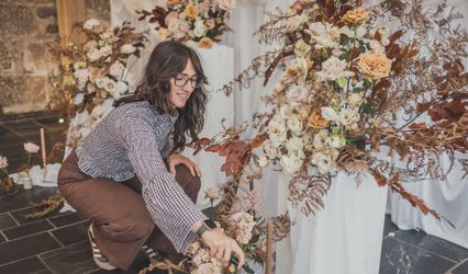 Tide the Knot Wedding Planning