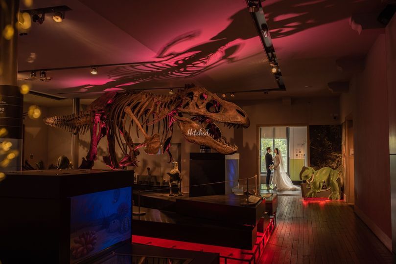 Great North Museum: Hancock