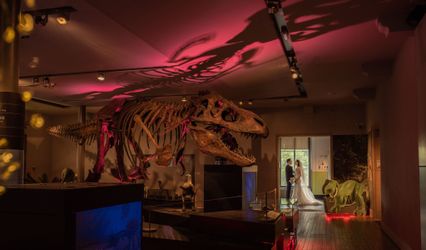 Great North Museum: Hancock