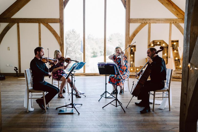 Woodfield Strings