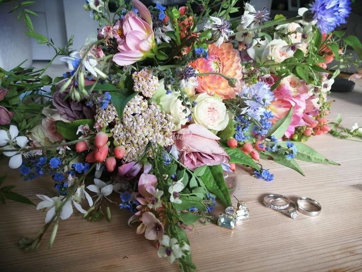The Petal Portfolio