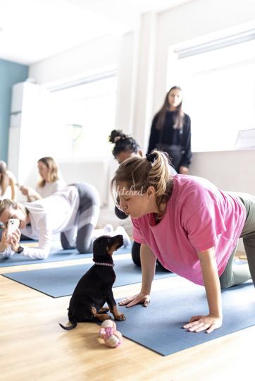 Take A Paws Puppy Yoga