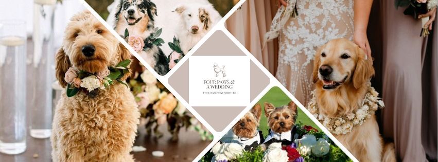 Four Paws & A Wedding