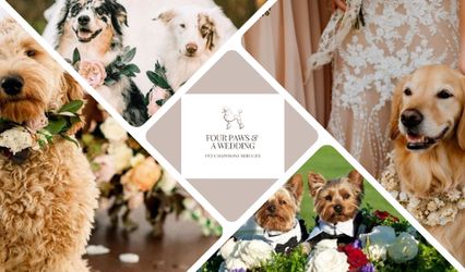 Four Paws & A Wedding