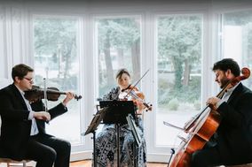 Alerion Strings