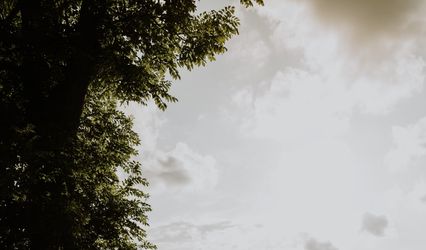 Zoe Rae Photography