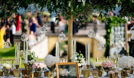 Elegante by Michelle J
