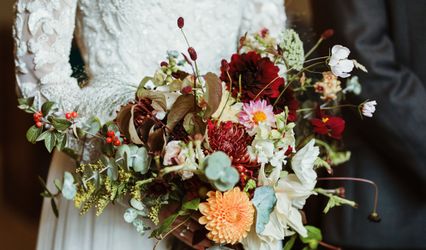 Lauren Alexander Weddings