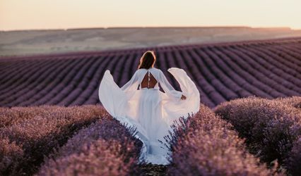 Coco Wedding Planner