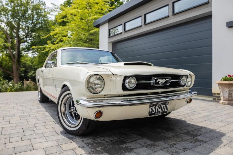 Mustang Maddie
