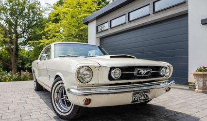 Mustang Maddie