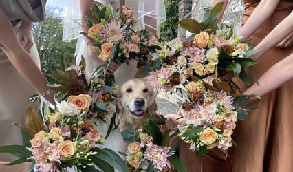 A Pad 4 Paws - Dog Chaperoning