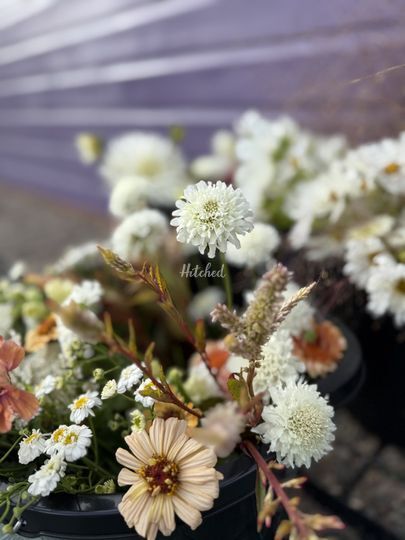 Life on the Lot - Wirral Flower Farm