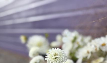 Life on the Lot - Wirral Flower Farm