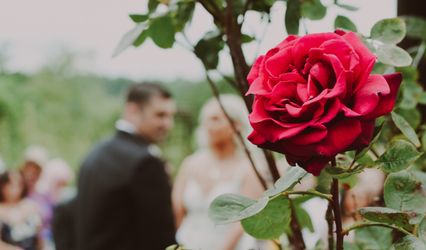 Kathryn Ling Photography