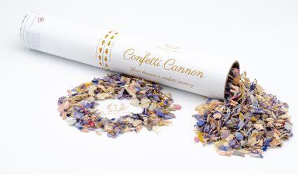 Hitched with Stevens