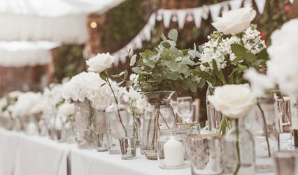 Willow & Blush Hire