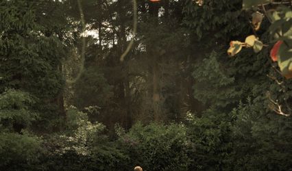 Aram Brogden Photography