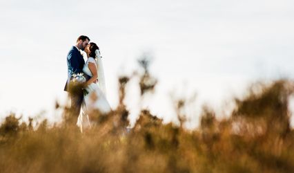 Fringe Photography