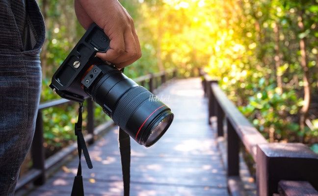 Alisby Wedding Films & Photography