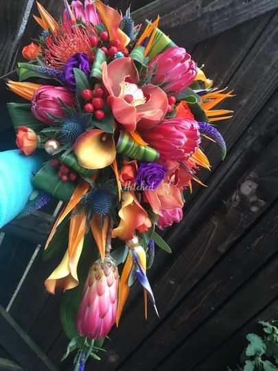 Brodies blooms and gifts