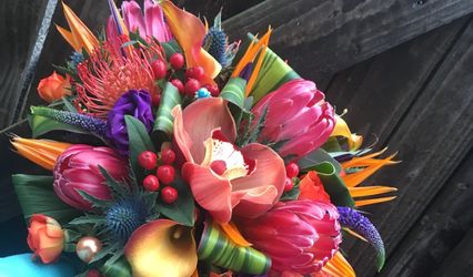 Brodies blooms and gifts