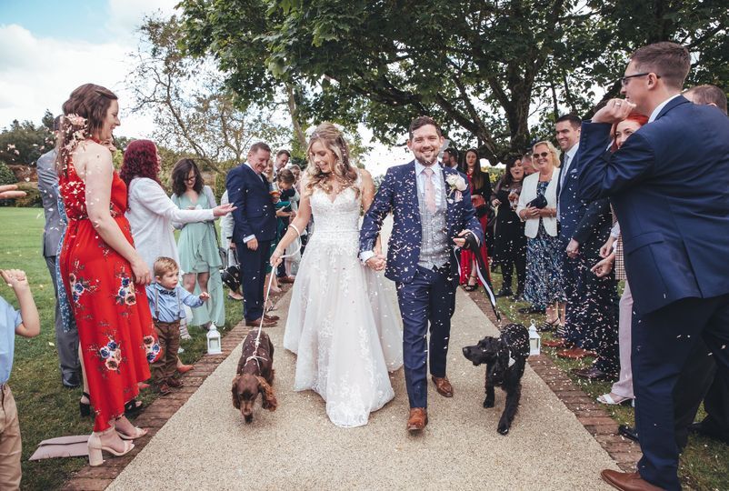 Woofs and Weddings