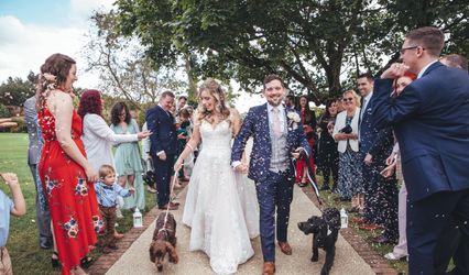 Woofs and Weddings
