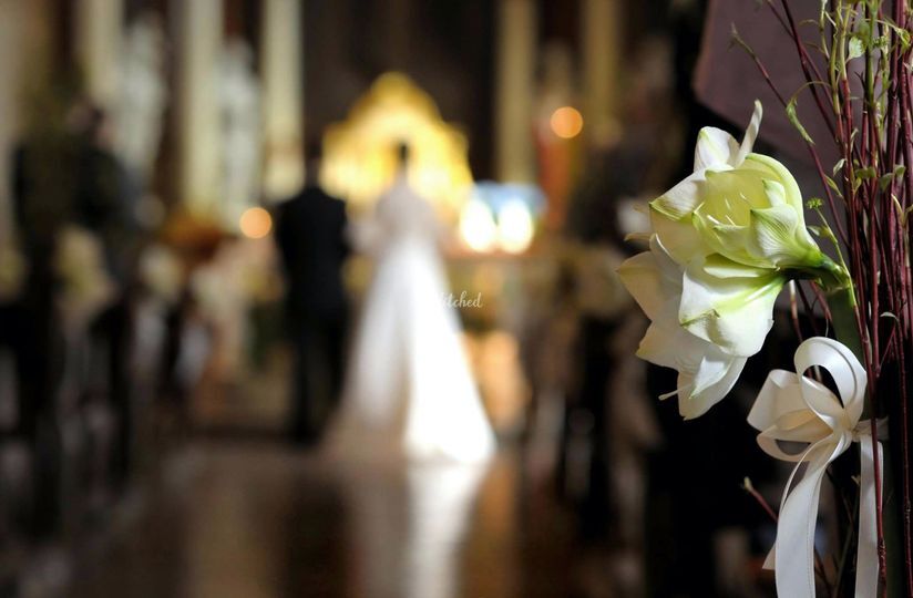 Clear Shot Photography