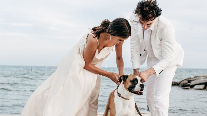 Wedding Dog Walker