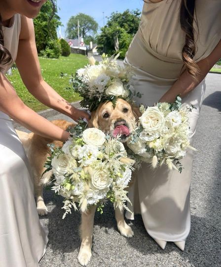 Sherry & Paws