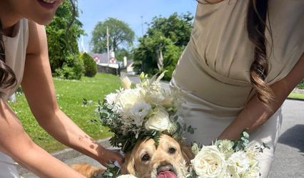 Sherry & Paws
