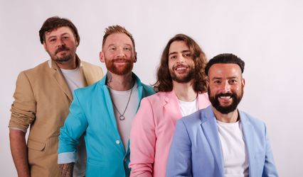 The Fireflies Party Band