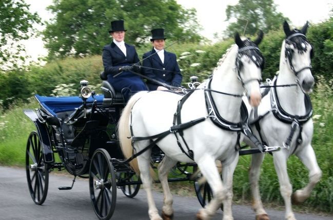 Lediard Carriage Services in Somerset - Cars and Travel | hitched.co.uk