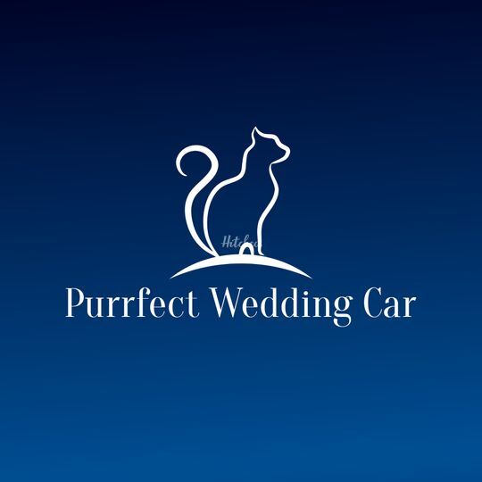 Purrfect Wedding Car