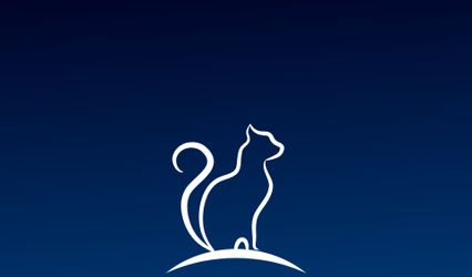 Purrfect Wedding Car