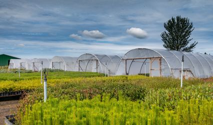 Christie-Elite Nurseries