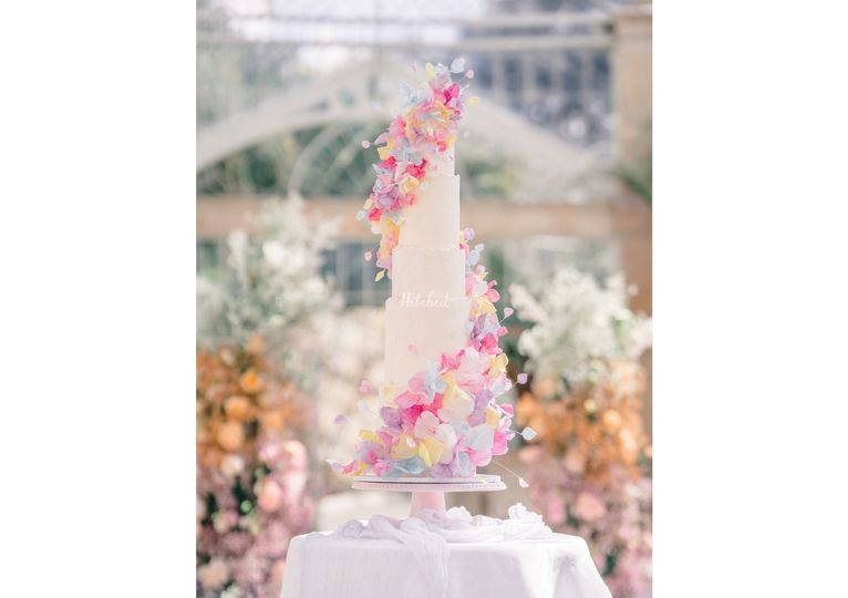 Bella & Bean Cake Design