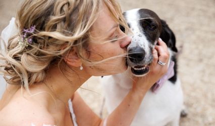 All Paws Weddings