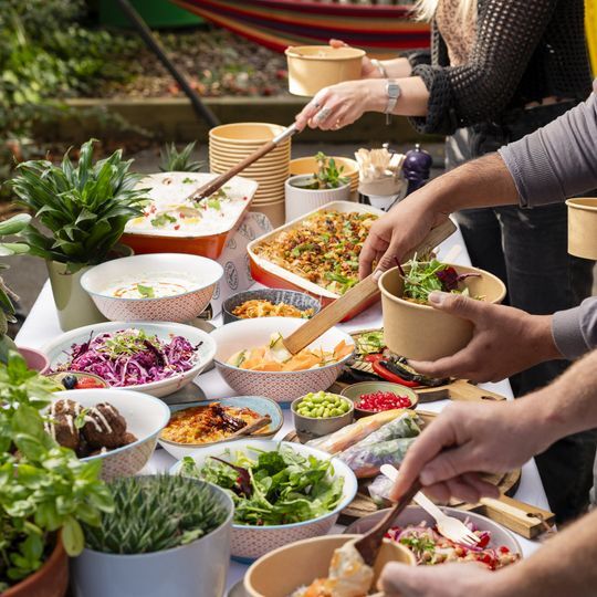 Feed The Village - Vegan