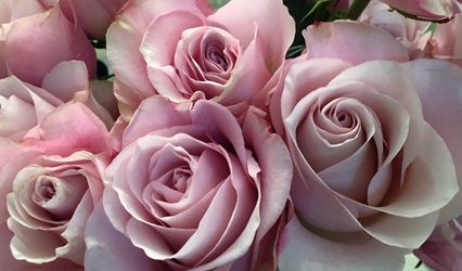 Lucas May Florist & Gifts